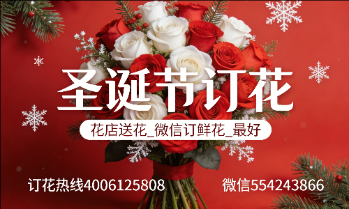 ���ݽ���������