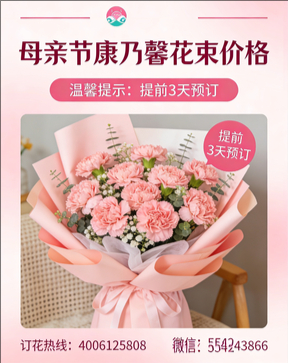 福州晋安区花店母亲节康乃馨花束