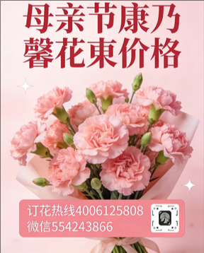 福州晋安区花店母亲节康乃馨花束